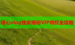 糖心vlog独家揭秘VIP特权全攻略