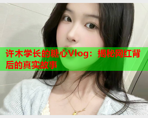 许木学长的糖心Vlog：揭秘网红背后的真实故事  第2张