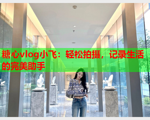 糖心vlog小飞：轻松拍摄，记录生活的完美助手  第1张